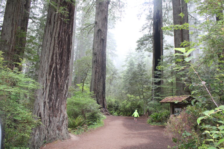 Top 10 – California Coast – Kids Edition
